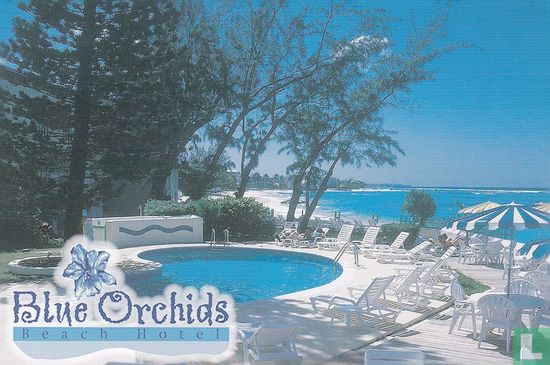 Blue Orchids Beach Hotel - Image 1