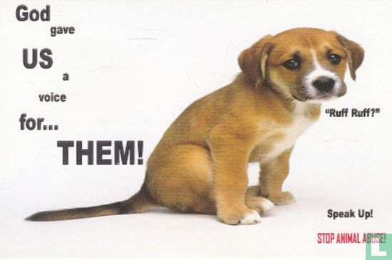 Stop Animal Abuse - Image 1