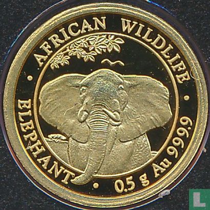 Somalia 20 shillings 2021 (PROOF) "Elephant" - Image 2