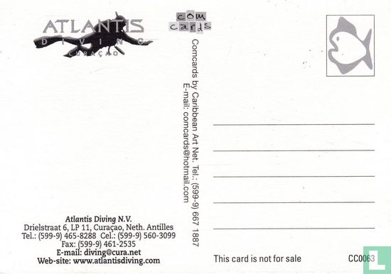 CC0063 - Atlantis Diving - Afbeelding 2
