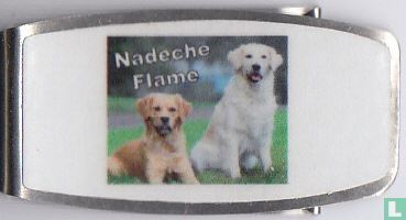 Nadeche Flame - Afbeelding 1