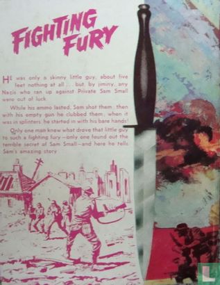 Fighting Fury - Image 2