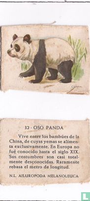 32 Oso Panda
