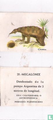 25 Megalonix
