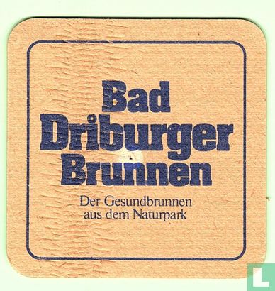 Bad Driburger Brunnen - Image 1