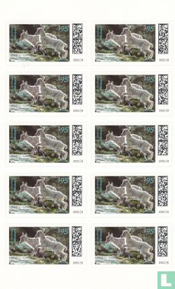 Young wild animals - Image 2