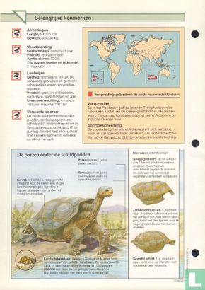 Galagapos- en Seychellenreuzenschildpad - Bild 2