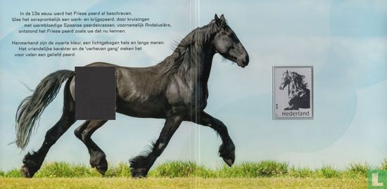 The Friesian Horse - Image 3