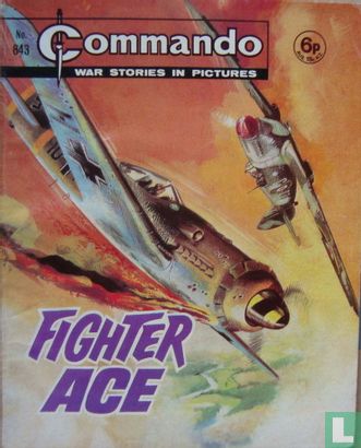 Fighter Ace - Image 1