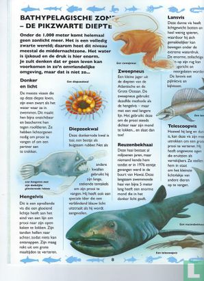 Haaien & andere roofdieren uit de zee - Image 3