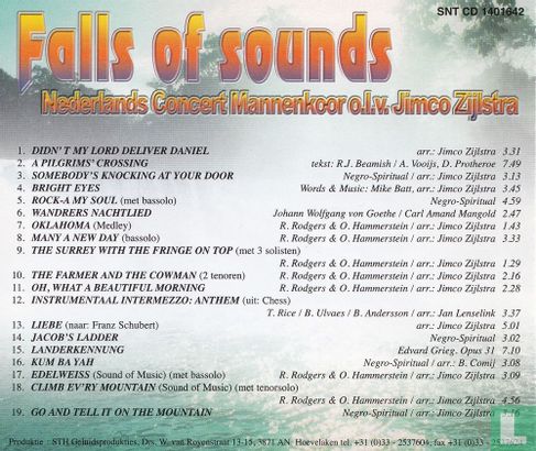 Falls of sounds - Afbeelding 2