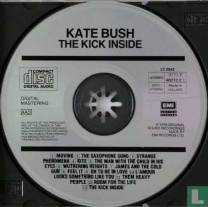 The Kick Inside - Image 3