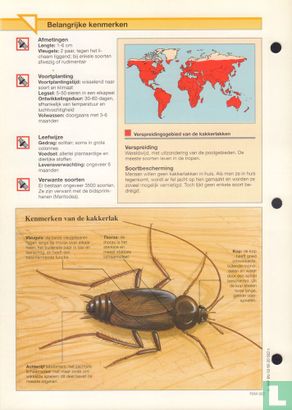 Kakkerlakken - Image 2