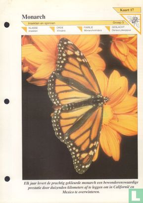 Monarch - Afbeelding 1