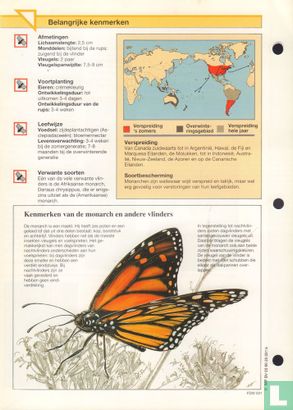 Monarch - Image 2