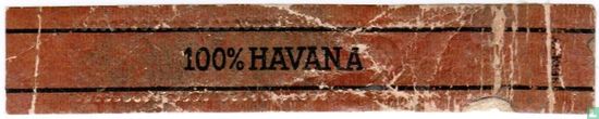 100% Havana - Image 1