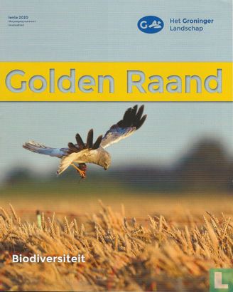 Golden Raand 1 - Afbeelding 1