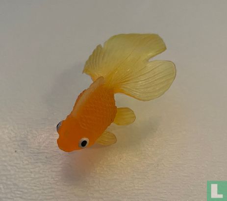 Goldfisch - Bild 1