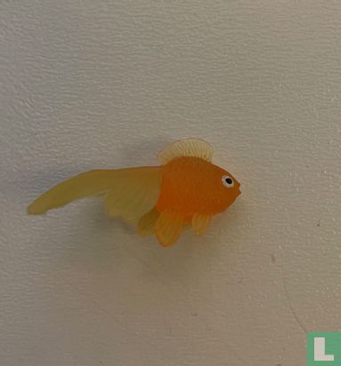 Goldfisch - Bild 2