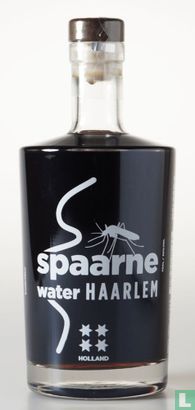 Haarlem Mug Spaarne water