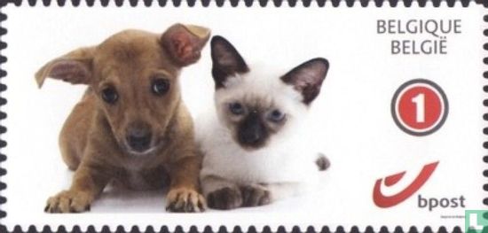 Chiens et chatons