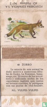 40 Zorro