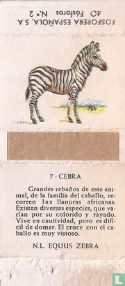 07 Cebra