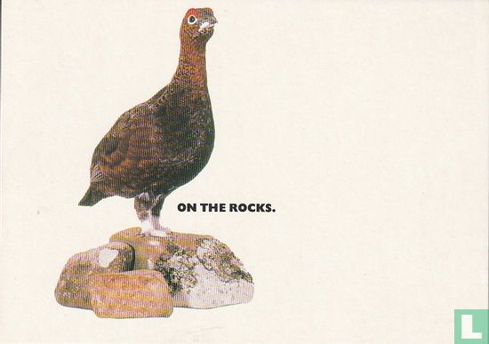 The Famous Grouse "On The Rocks" - Image 1