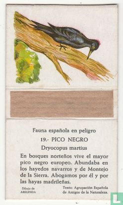 19. Pico Negro - Afbeelding 2