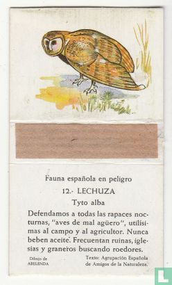 12. Lechuza