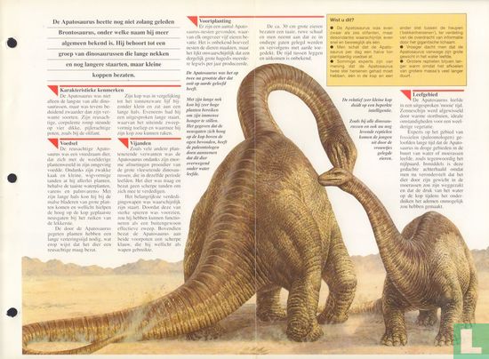 Apatosaurus - Bild 3