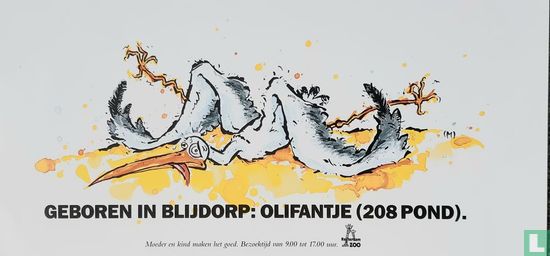 Geboren in Blijdorp: olifantje (208 pond). - Image 2