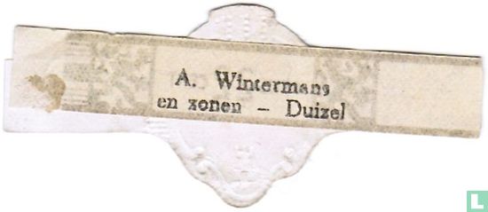 Prijs 22 cent - (Achterop: A. Wintermans en zonen Duizel ) - Afbeelding 2