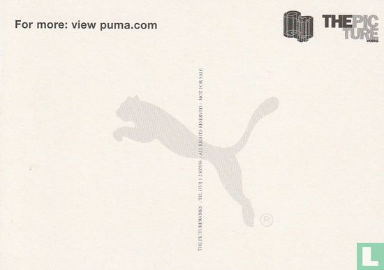 Puma - Bild 2