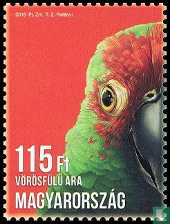 red macaw - Image 1