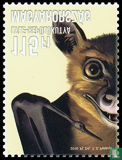 Lyles flying fox - Image 1