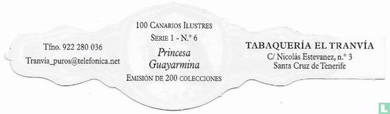 Princesa Guayarmina - Afbeelding 2