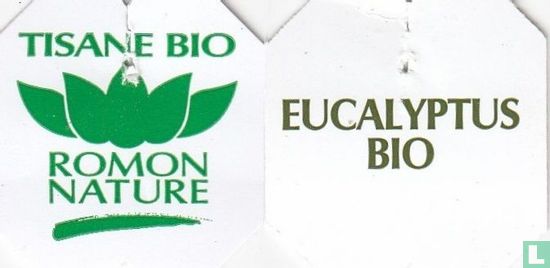 Eucalyptus Bio - Bild 3