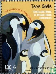 Terre Adélie - The emperor penguin