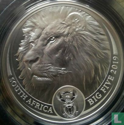 Afrique du Sud 5 rand 2019 (folder) "Lion" - Image 3