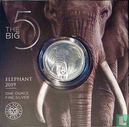 South Africa 5 rand 2019 (folder) "African elephant" - Image 1