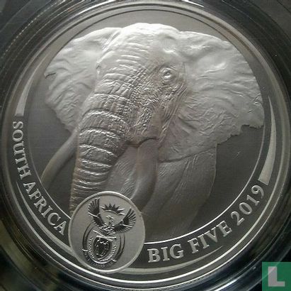South Africa 5 rand 2019 (folder) "African elephant" - Image 3