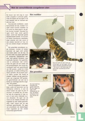 Hoe zoogdieren zien - Image 2