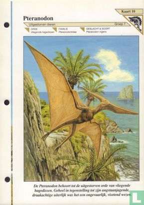 Pteranodon - Bild 1