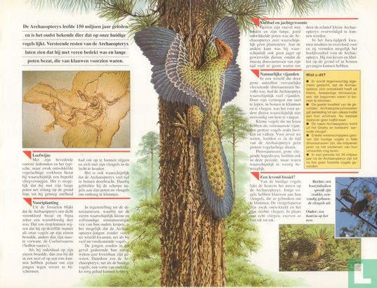 Archaeopteryx - Image 3