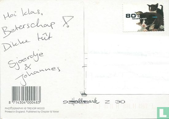 Untitled - Image 2