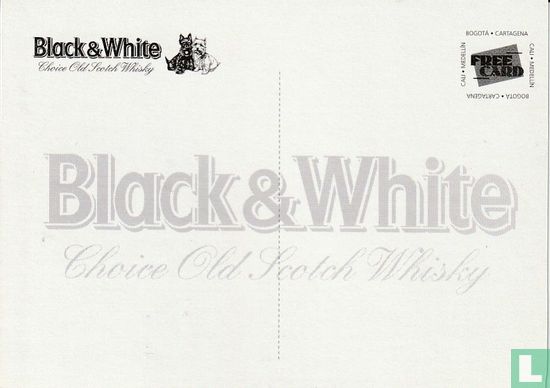 Black & White Whisky - Afbeelding 2