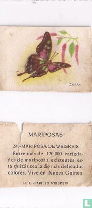 Mariposa de Weiskeis