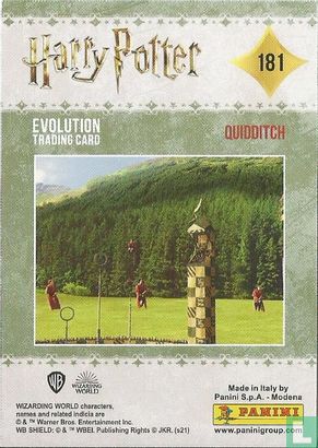 Quidditch - Bild 2