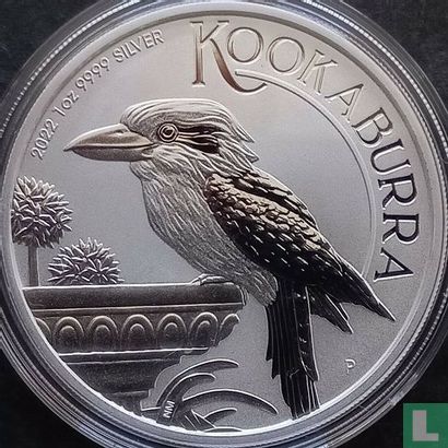 Australië 1 dollar 2022 (kleurloos) "Kookaburra" - Afbeelding 1